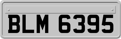 BLM6395
