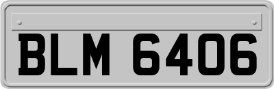 BLM6406