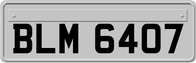 BLM6407