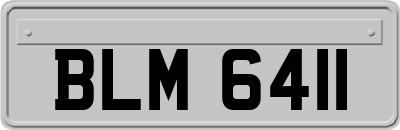 BLM6411
