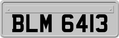 BLM6413