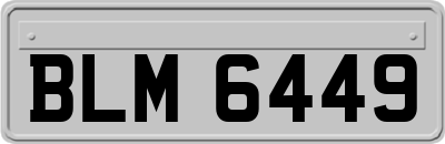 BLM6449