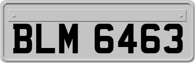 BLM6463