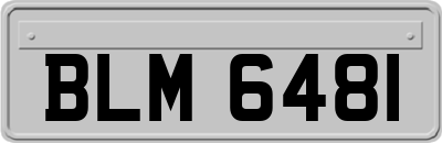 BLM6481