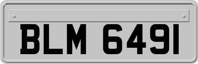 BLM6491