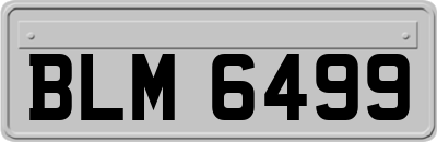 BLM6499