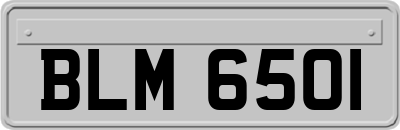 BLM6501