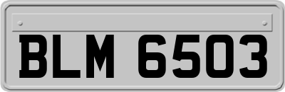 BLM6503