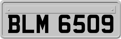 BLM6509