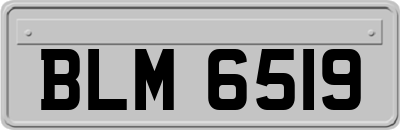 BLM6519