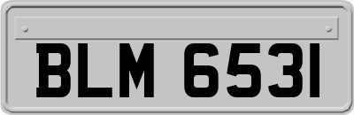 BLM6531