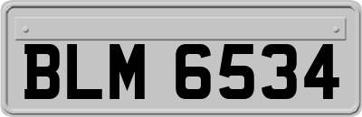 BLM6534