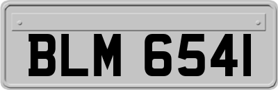 BLM6541