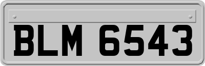BLM6543