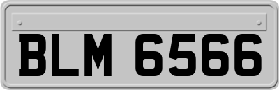 BLM6566
