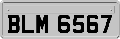 BLM6567