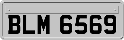 BLM6569