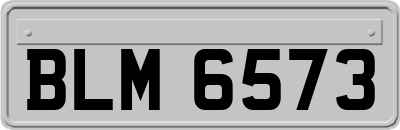 BLM6573