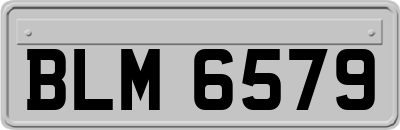 BLM6579