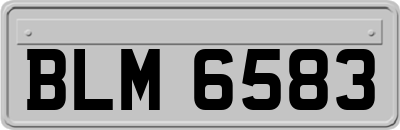 BLM6583