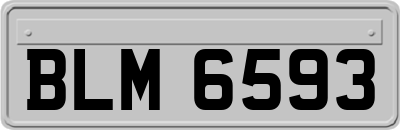 BLM6593
