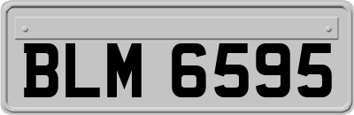 BLM6595
