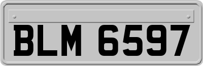BLM6597
