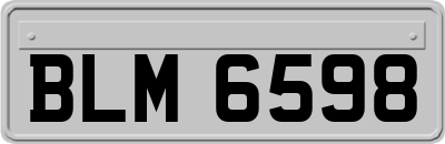 BLM6598