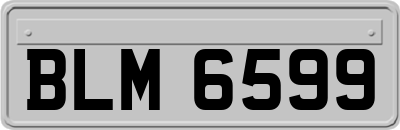 BLM6599