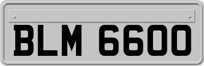 BLM6600