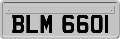 BLM6601