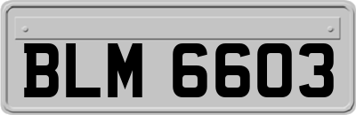 BLM6603