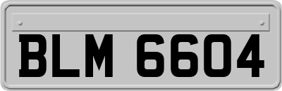 BLM6604