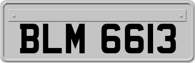 BLM6613