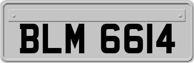 BLM6614