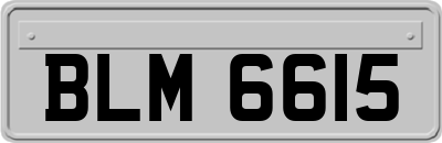 BLM6615