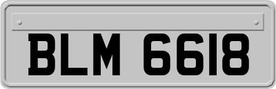 BLM6618