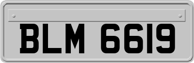 BLM6619