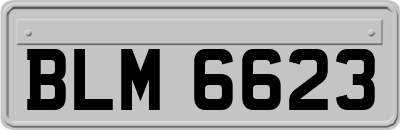 BLM6623