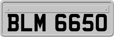 BLM6650