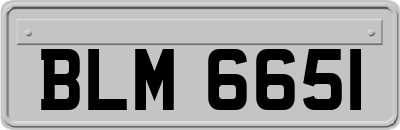 BLM6651