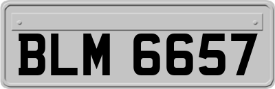 BLM6657