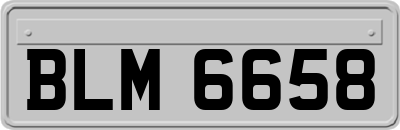 BLM6658