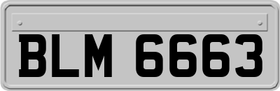 BLM6663