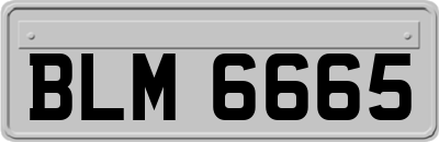 BLM6665