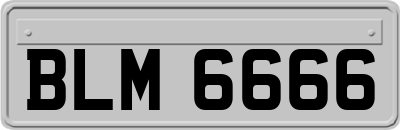BLM6666