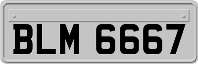 BLM6667