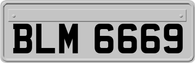 BLM6669