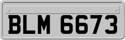 BLM6673