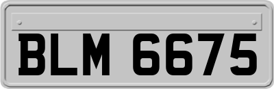 BLM6675